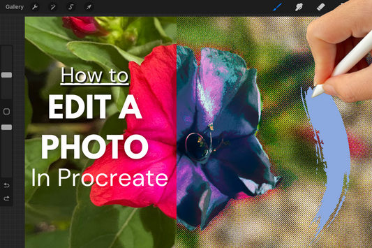 How To Edit a Photo in Procreate - Updated Version!