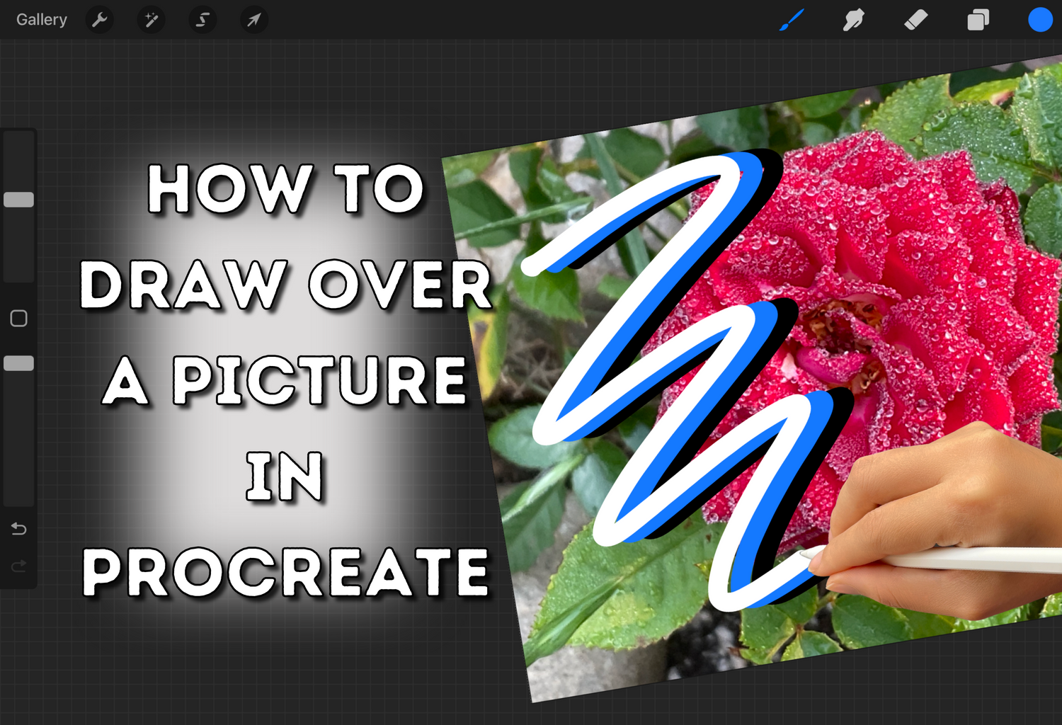 How to draw over a picture in Procreate use Procreate to draw over p