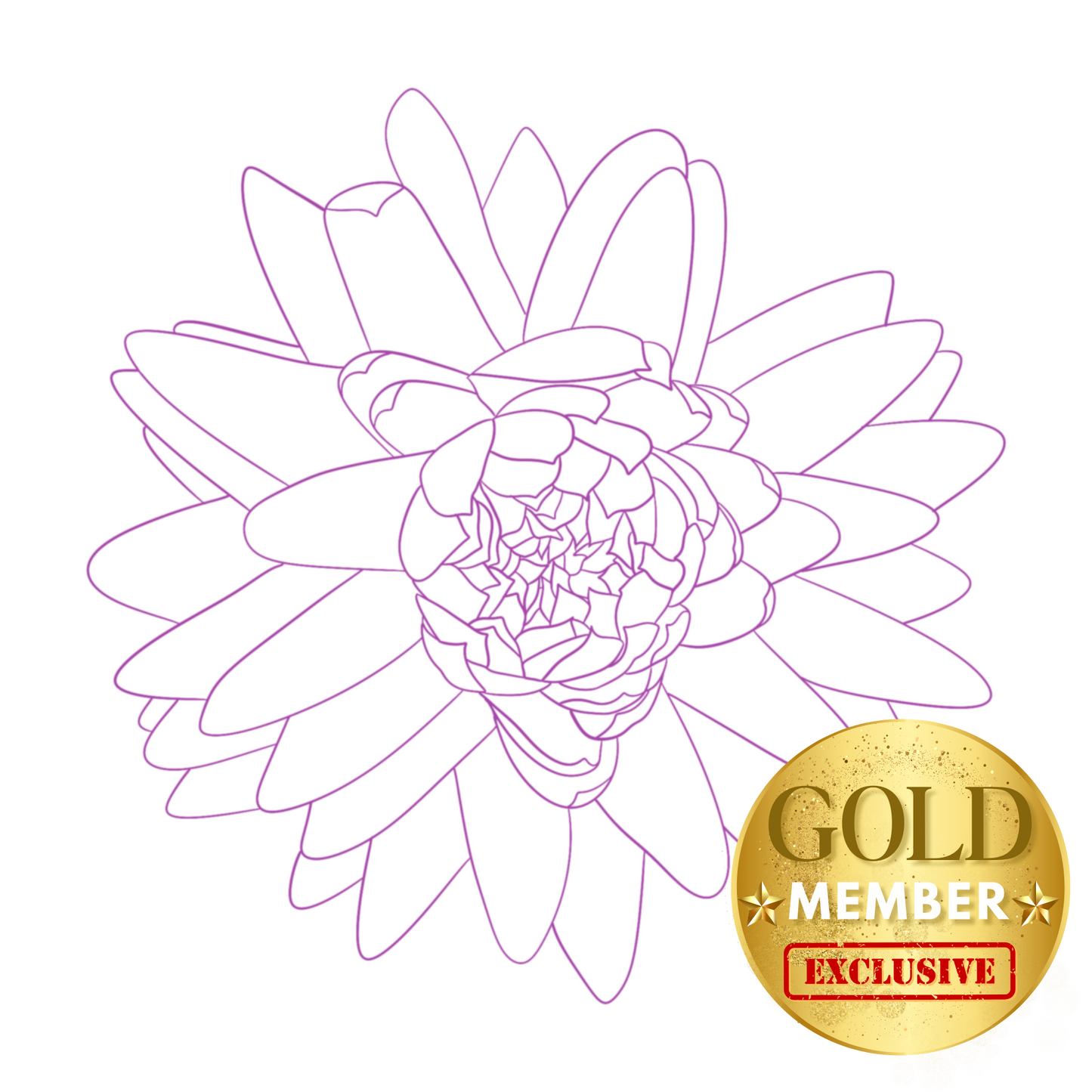 Chrysanthemum Flower Stamp - Outline