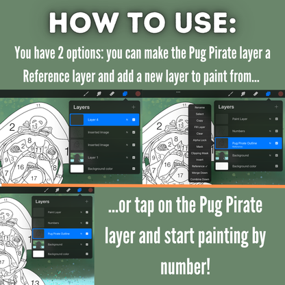 Pug Pirate Paint by Number for Procreate