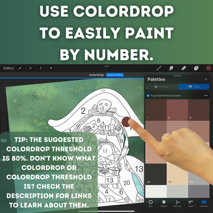 Pug Pirate Paint by Number for Procreate